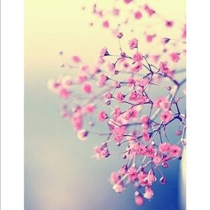 Meet your Posher, Audrey